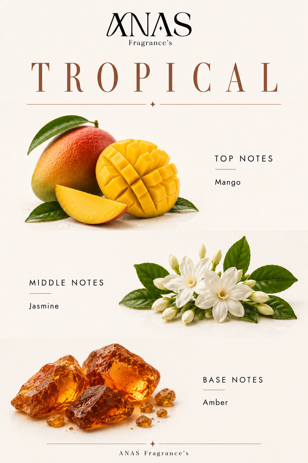 TROPICAL - For Both